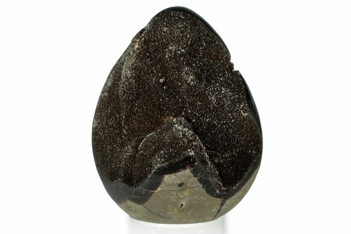 Septarian Dragon Egg Geode - Sparkly Black Crystals #329501